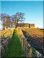 Path leading up to Birnie Kirk