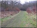 Path into Hospital Hill Woods, Claybury Park