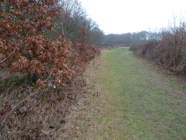 Path alongside Hospital Hill Woods,... © Marathon :: Geograph Britain ...