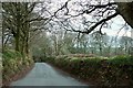 Lane near Trewardale