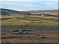 Moorland above Blakely Field