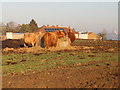 Cattle Feeding near Long Load