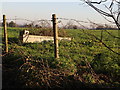 Water Trough at Westover Lane