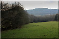 Wessex Ridgeway descending towards Hole Common