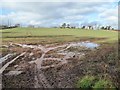 Arable land opposite Rhea Farm