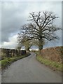 Country road near Munsley Green