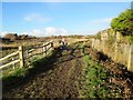 Footpath adjacent to Ferring Rife