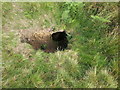 NZ0392 : Shake hole/sinkhole, Fontburn by Leanmeanmo