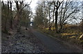 The South Tyne Trail as it heads south west from Plenmeller road