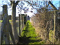 Path south of Smithfield, Thorney