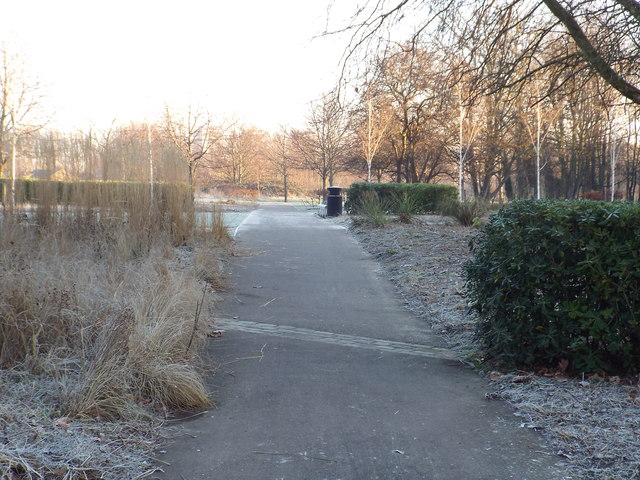 Frosty morning in Burgess Park
