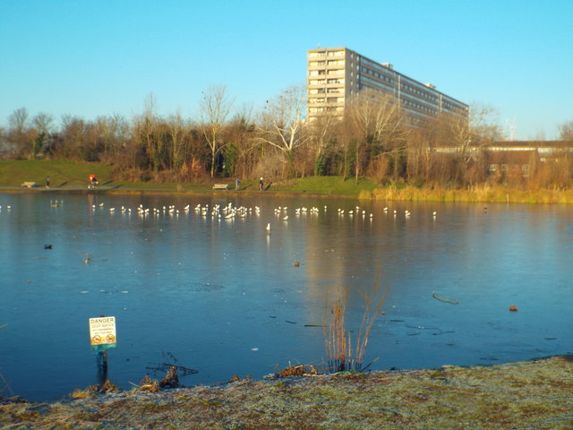Ice on the lake, Burgess Park