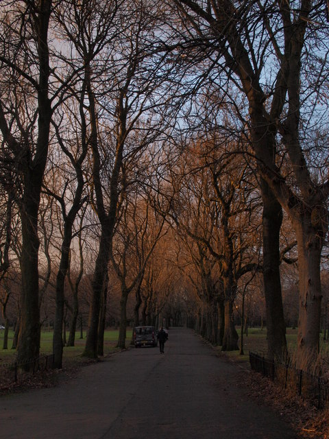 Richmond Park at sunset