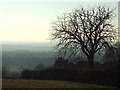 TQ4151 : View near Limpsfield by Malc McDonald