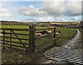 Track to Brockhole Farm