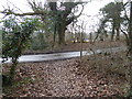 Footpath approaches Bramlands Lane