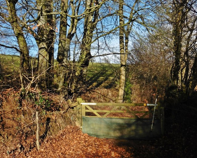 Gate on path to Skilgate © Roger Cornfoot cc-by-sa/2.0 :: Geograph ...