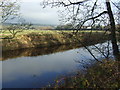 The River Wharfe near Riversdale