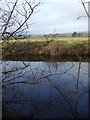 The River Wharfe near Manor Park