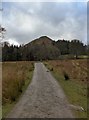 Heading anti-clockwise round Derwent Water