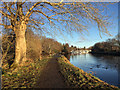 Caledonian Canal towpath