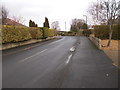 Aspin Park Lane - Aspin Oval