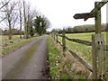 The drive of Horton Hall looking east