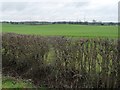 Winter farmland, south-east of Sykes House Farm