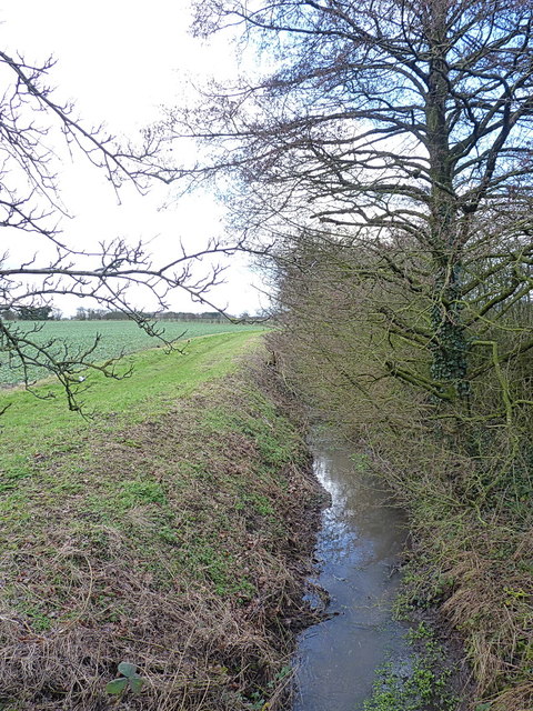 Newpool Plantation, Telford and Wrekin - area information, map, walks ...