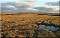 Kerrow Downs