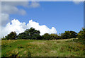 Rough grazing west of Whitchurch, Shropshire