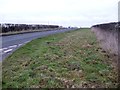 Wide grass verge on the B1224