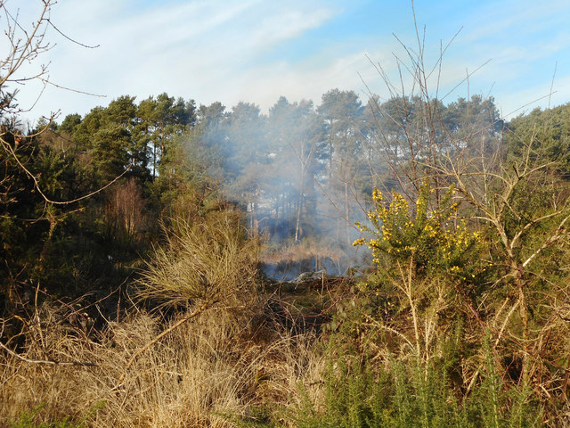 Fire on the Heath