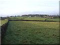 Grazing and stone walls near Timble