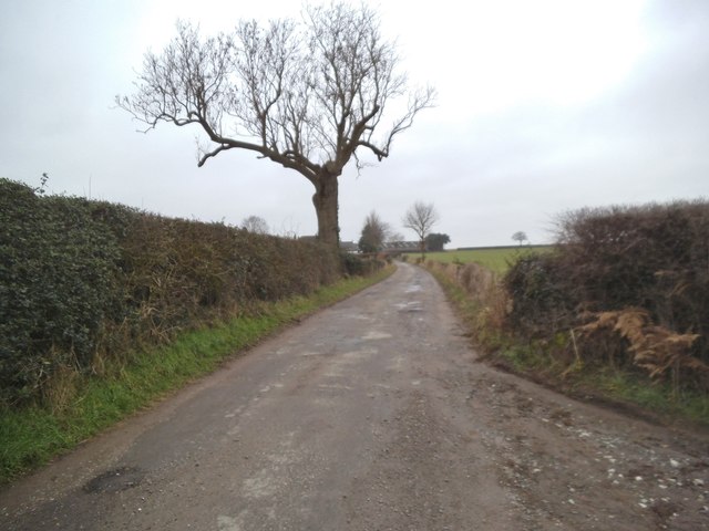 Wolmore Lane View