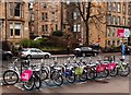 Botanic Gardens Glasgow nextbike Station