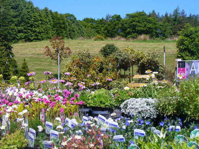 Mains of Drum - Garden Centre © Colin Smith :: Geograph Britain and Ireland