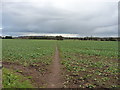 Footpath to Edgmond Marsh