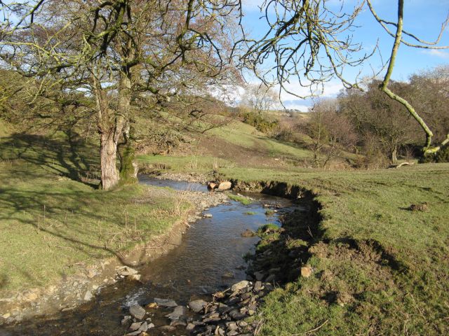 Meandering stream © Jonathan Wilkins :: Geograph Britain and Ireland