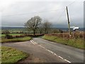 Headstock Cross