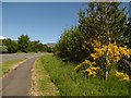 Path beside the A82