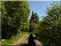 Bike path, Loch Lomond