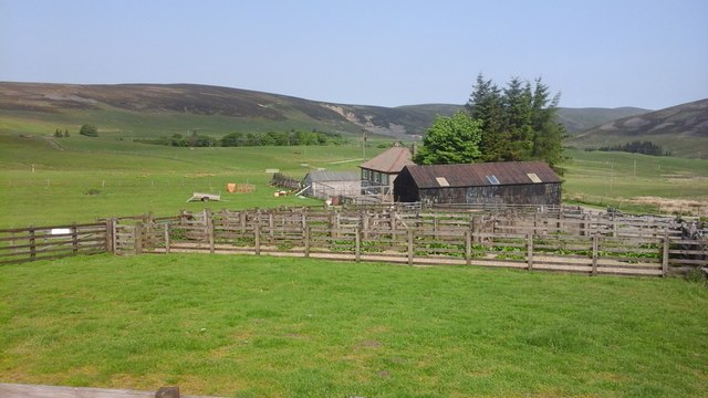 The Steading