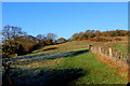 Footpath ascending towards Buckham Down