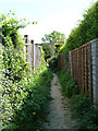 Footpath towards Church Street, Rudgwick