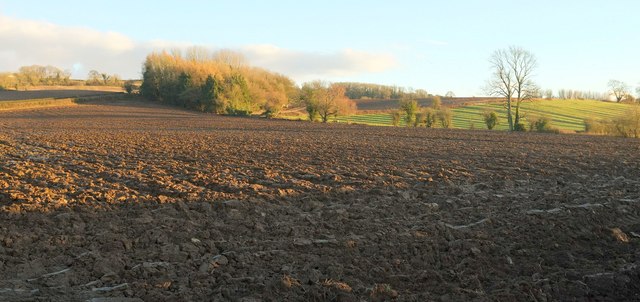 Farmland south of Wyck Rissington