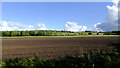 SJ5344 : Farmland near Badeley Green in Cheshire by Roger  D Kidd