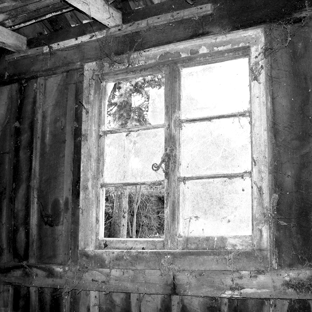 Broken window in an old shed