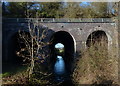 Three Arch Bridge crossing the Whetstone Brook