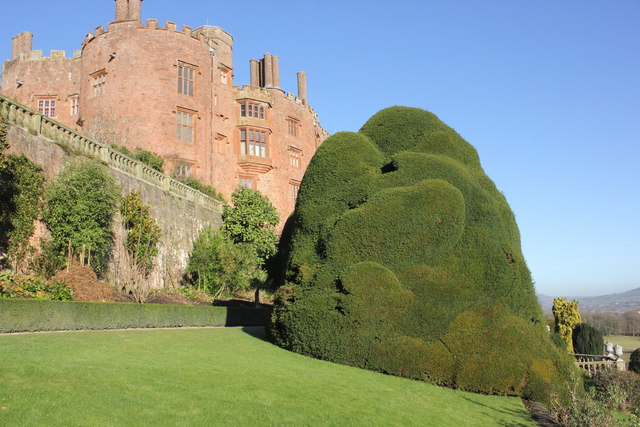 Giant Yew Topiary at Powis Castle